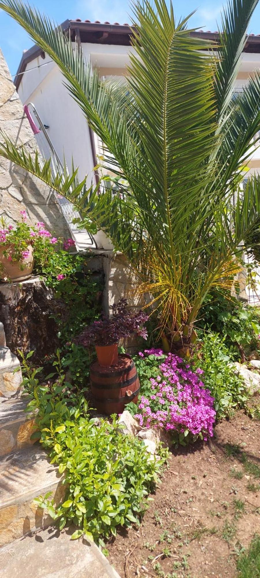 Apartment Sv.Nikole Tribalj Dış mekan fotoğraf